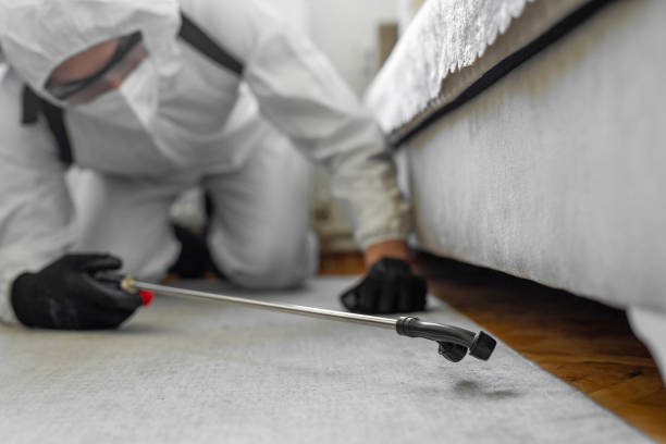 Professional Pest Control technician working in Jones County County, TX